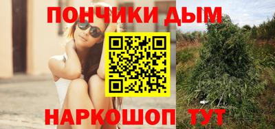 гидропоника Тулун