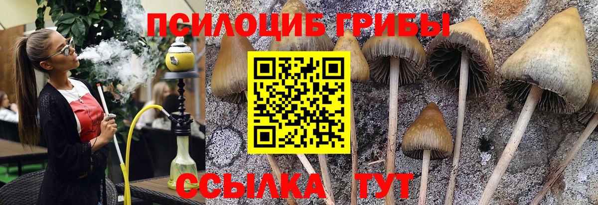Галлюциногенные грибы Magic Shrooms Семёнов