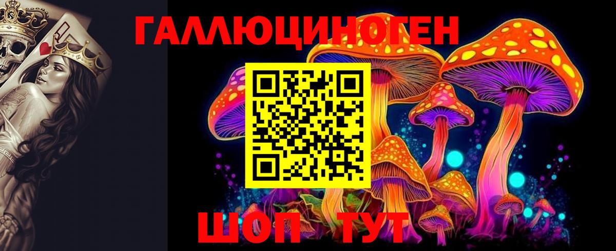 Семёнов  Псилоцибиновые грибы MAGIC MUSHROOMS  Вход с VPN 